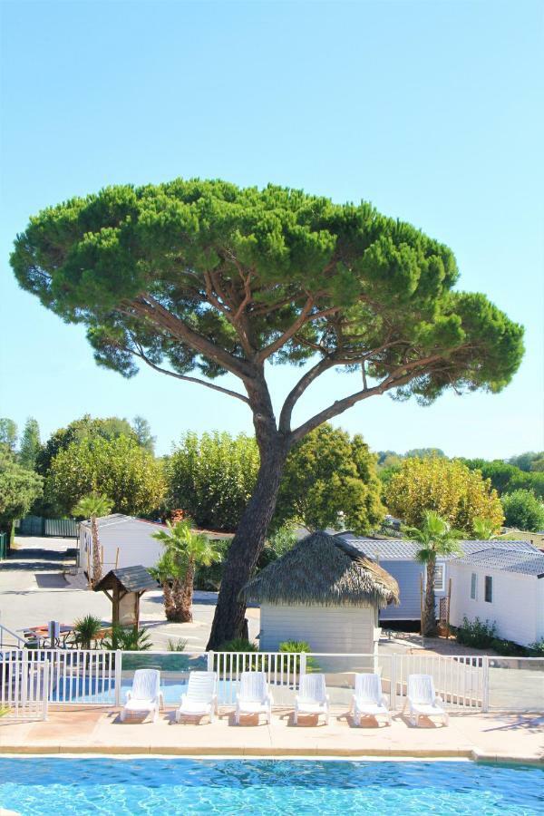 La Pinede Camping Grimaud Zewnętrze zdjęcie